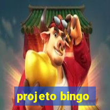 projeto bingo