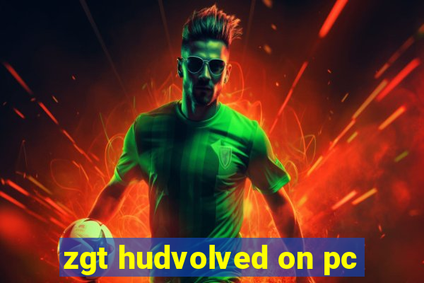 zgt hudvolved on pc