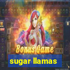 sugar llamas