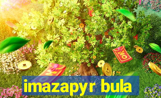 imazapyr bula