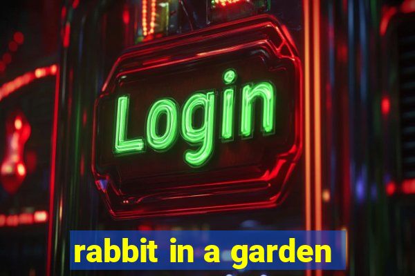 rabbit in a garden