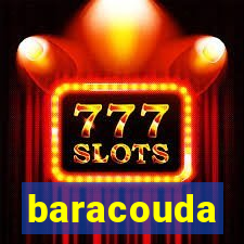 baracouda