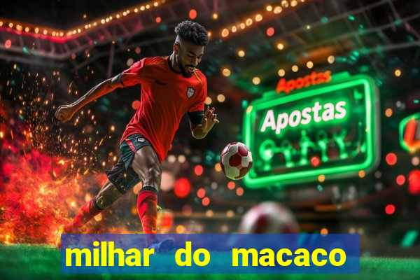 milhar do macaco que mais sai