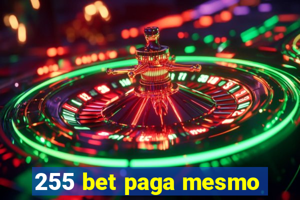 255 bet paga mesmo