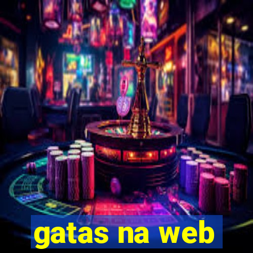 gatas na web