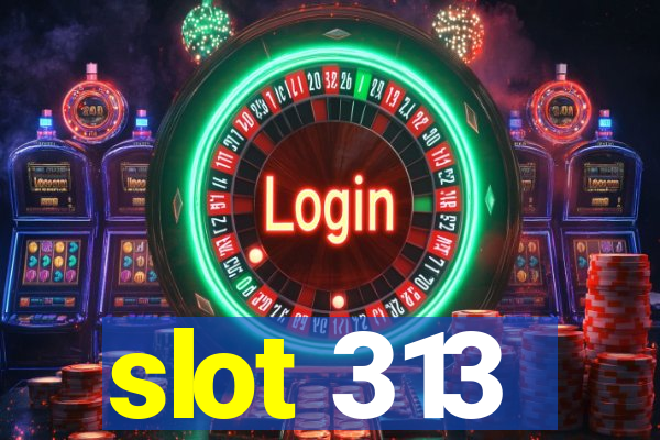 slot 313